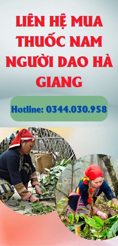 LIÊN HỆ MUA THUỐC NAM NGƯỜI DAO HÀ GIANG