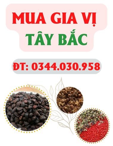 MUA GIA VỊ TÂY BẮC